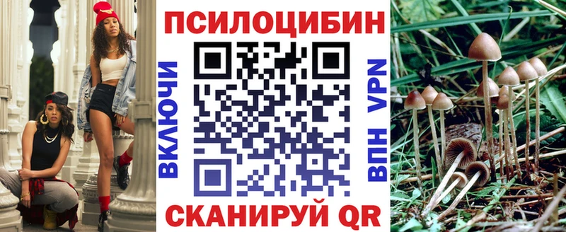 Галлюциногенные грибы MAGIC MUSHROOMS  Купить где  Светлогорск 